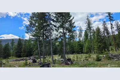 790 Bonaparte Lake Rd, Tonasket, WA 98855 - Photo 34