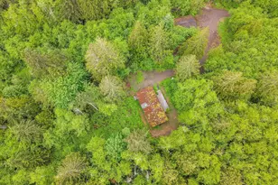6503 Center Rd, Chimacum, WA 98325 - Photo 26