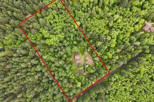 11508 Claussen Rd, Anderson Island, WA 98303 - Photo 6