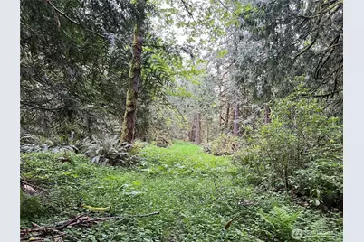 1 Xxxx SE 51st Street, Preston, WA 98050 - Photo 12