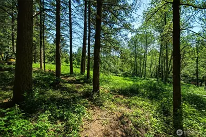 2521 NE 392nd Avenue, Washougal, WA 98671 - Photo 38