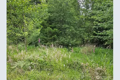 5033 Polehn Road SW, Rochester, WA 98579 - Photo 1