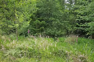 5033 Polehn Rd SW, Rochester, WA 98579 - Photo 1