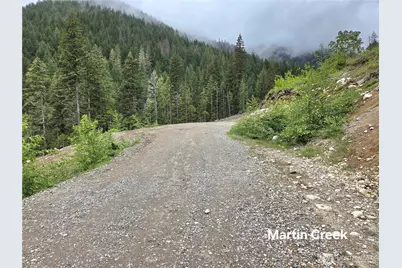 6710 Martin Creek, Skykomish, WA 98288 - Photo 1