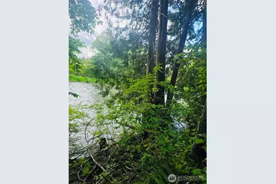 8806 356th Street S, McKenna, WA 98558 - Photo 12