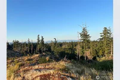 7006 State Route 20, Anacortes, WA 98221 - Photo 12