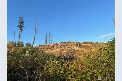 7006 State Route 20, Anacortes, WA 98221 - Photo 16