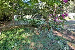 190 E Stavis Rd, Shelton, WA 98584 - Photo 24
