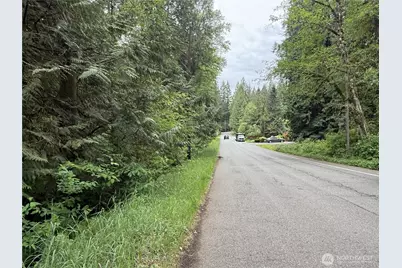 0 312th Avenue NE, Carnation, WA 98014 - Photo 4
