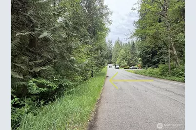 0 312th Avenue NE, Carnation, WA 98014 - Photo 4