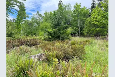 1631 Lower Elwha Road, Port Angeles, WA 98363 - Photo 32