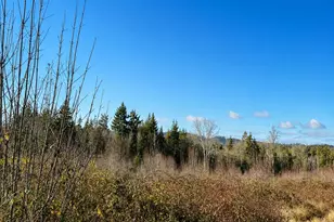 12426 NE Phillip Dr S, Kingston, WA 98346 - Photo 18