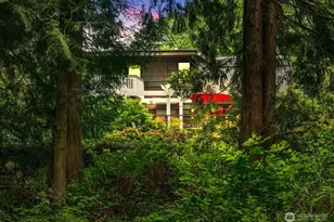 11202 204th Ave NE, Redmond, WA 98053 - Photo 32