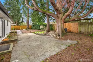 1402 N 136th St, Seattle, WA 98133 - Photo 22