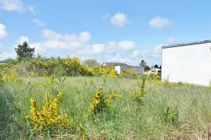 987 Beaver Ct SE, Ocean Shores, WA 98569 - Photo 6
