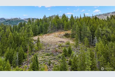 0 Morgan Creek, Ronald, WA 98940 - Photo 6