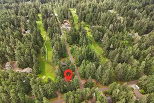 10507 Pioneer Dr, Anderson Island, WA 98303 - Photo 38