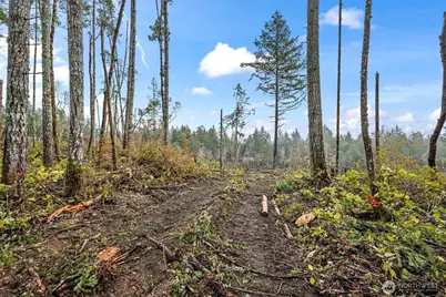 1809 208th Avenue SW, Longbranch, WA 98349 - Photo 2