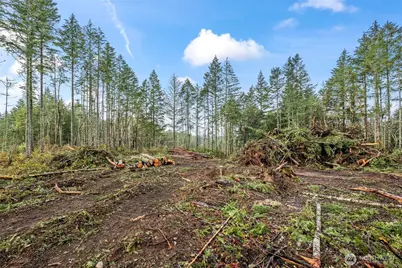 1809 208th Avenue SW, Longbranch, WA 98349 - Photo 22