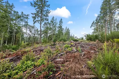 1809 208th Avenue SW, Longbranch, WA 98349 - Photo 18