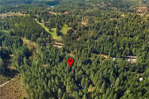 300 N Mount Jupiter, Hoodsport, WA 98548 - Photo 18