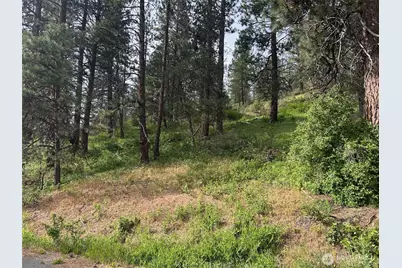 0 Xxx W 6th Street, Cle Elum, WA 98922 - Photo 2