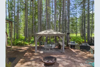 51 N Coho Court, Hoodsport, WA 98548 - Photo 4