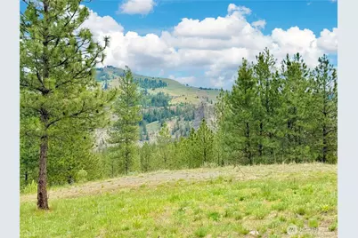 1942 Lyman Lake-Moses Meadows Road, Tonasket, WA 98855 - Photo 32
