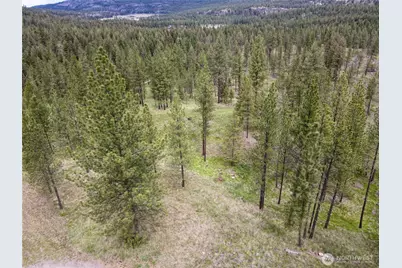 1942 Lyman Lake-Moses Meadows Road, Tonasket, WA 98855 - Photo 38