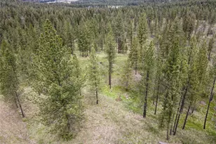 1942 Lyman Lake-Moses Meadows Rd, Tonasket, WA 98855 - Photo 38