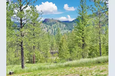 1942 Lyman Lake-Moses Meadows Road, Tonasket, WA 98855 - Photo 26