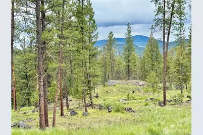 1942 Lyman Lake-Moses Meadows Road, Tonasket, WA 98855 - Photo 34
