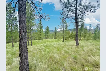1942 Lyman Lake-Moses Meadows Road, Tonasket, WA 98855 - Photo 36