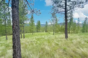 1942 Lyman Lake-Moses Meadows Rd, Tonasket, WA 98855 - Photo 36