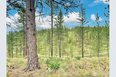 1942 Lyman Lake-Moses Meadows Road, Tonasket, WA 98855 - Photo 26