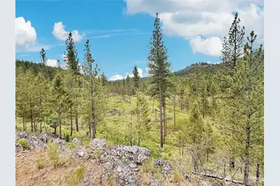 1942 Lyman Lake-Moses Meadows Road, Tonasket, WA 98855 - Photo 28