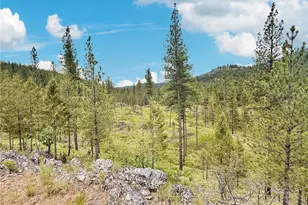 1942 Lyman Lake-Moses Meadows Rd, Tonasket, WA 98855 - Photo 28
