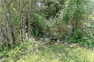 14105 288th St E, Graham, WA 98338 - Photo 18
