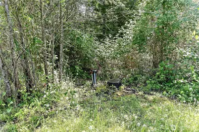 14105 288th Street E, Graham, WA 98338 - Photo 38