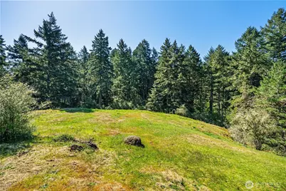 0 Woodpecker Ln, Friday Harbor, WA 98250 - Photo 12