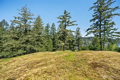 0 Woodpecker Ln, Friday Harbor, WA 98250 - Photo 10