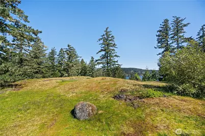 0 Woodpecker Ln, Friday Harbor, WA 98250 - Photo 8