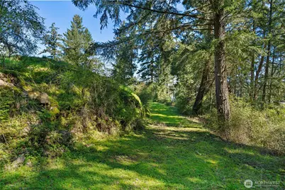 0 Woodpecker Ln, Friday Harbor, WA 98250 - Photo 4