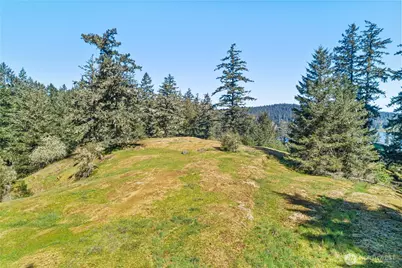0 Woodpecker Ln, Friday Harbor, WA 98250 - Photo 14