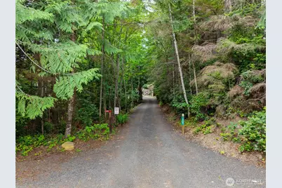 335 Tog Road, Brinnon, WA 98320 - Photo 36