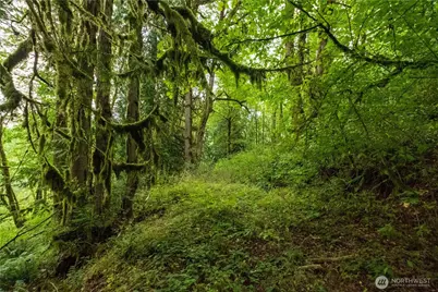 245 Xx SE 146th Street, Issaquah, WA 98027 - Photo 10