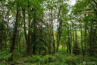 245 Xx SE 146th Street, Issaquah, WA 98027 - Photo 6
