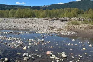 0 Rainier Vista Dr, Mineral, WA 98356 - Photo 1