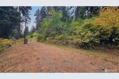 0 Lot 78 Skull Springs Road, Cle Elum, WA 98922 - Photo 4
