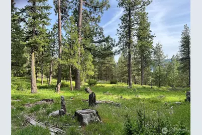 740 Sun Ridge Drive, Cle Elum, WA 98922 - Photo 10